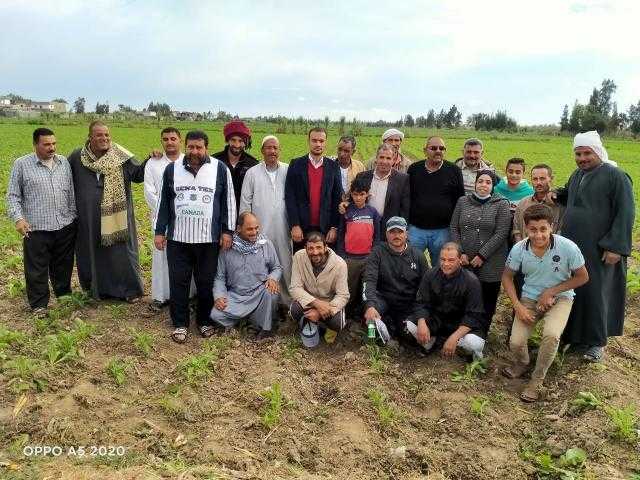 المركزى للحشائش:  ينفيذ 25 مدرسة حقلية فى 8 محافظات 