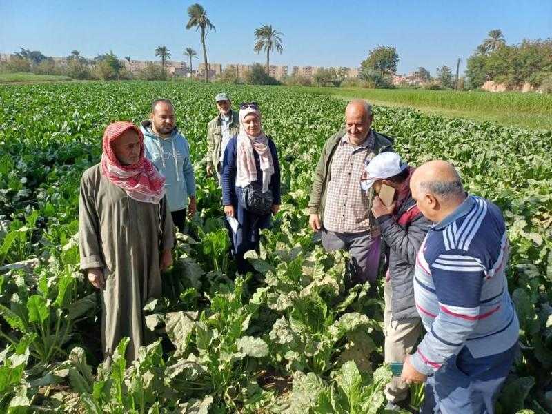 البحوث الزراعية ينظم برنامج تدريبي بعنوان التقييم البيئي والإقتصادي للتجارب الزراعية