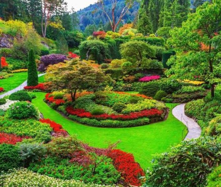 نباتات الزينة درع أخضر لمواجهة تغير المناخ.. تفاصيل